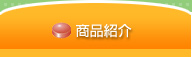 商品紹介